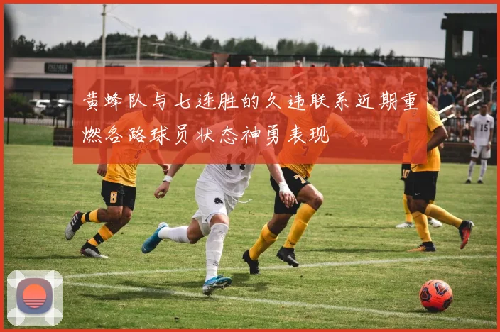 黄蜂队与七连胜的久违联系近期重燃各路球员状态神勇表现