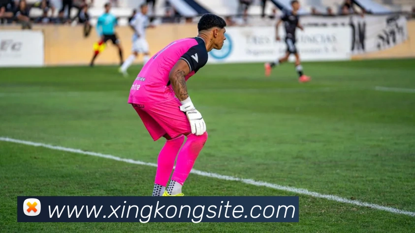 星空体育服务体系