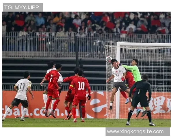 谢晋和张旭尧共同展望亚洲杯预选赛决战全力以赴争取胜利 谢晋和张旭尧共同展望亚洲杯预选赛决战全力以赴争取胜利